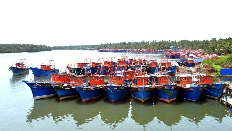 80686_26_5_2022_18_10_23_1_27TVKO_MECHANISEDFISHINGBOATS.jpg