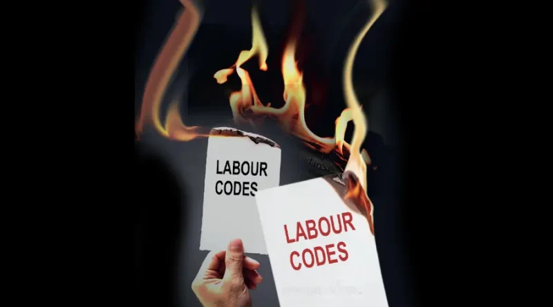 labourcodes-1764103546383-0a8a66fa-f3b1-4a7f-84fa-cd9487a83a0f-900x500-1.webp
